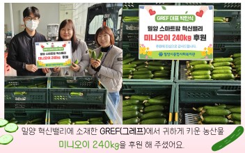 GREF(그레프) 농산물 미니오이 후원 이미지